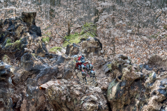 DSC06926-89_2026-03-13_ARW_Akzentuiert_Kutschfahrt_Habichtswald-Karpaten