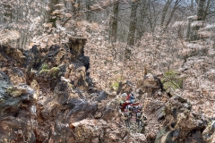 DSC07001-65_2026-03-13_ARW_Akzentuiert_Kutschfahrt_Habichtswald-Karpaten